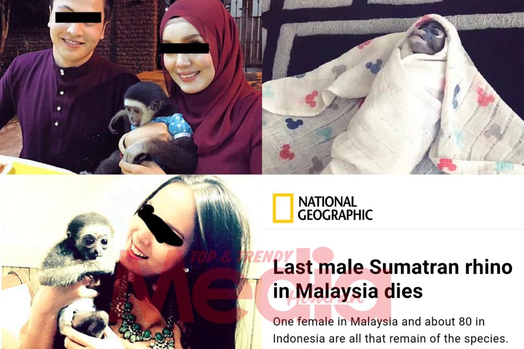 Rupa-Rupanya! Bela Hidupan Liar Sebagai Belaan, Uqasha Senrose, Siti Saleha dan Emma Maembong Antara Dibidas