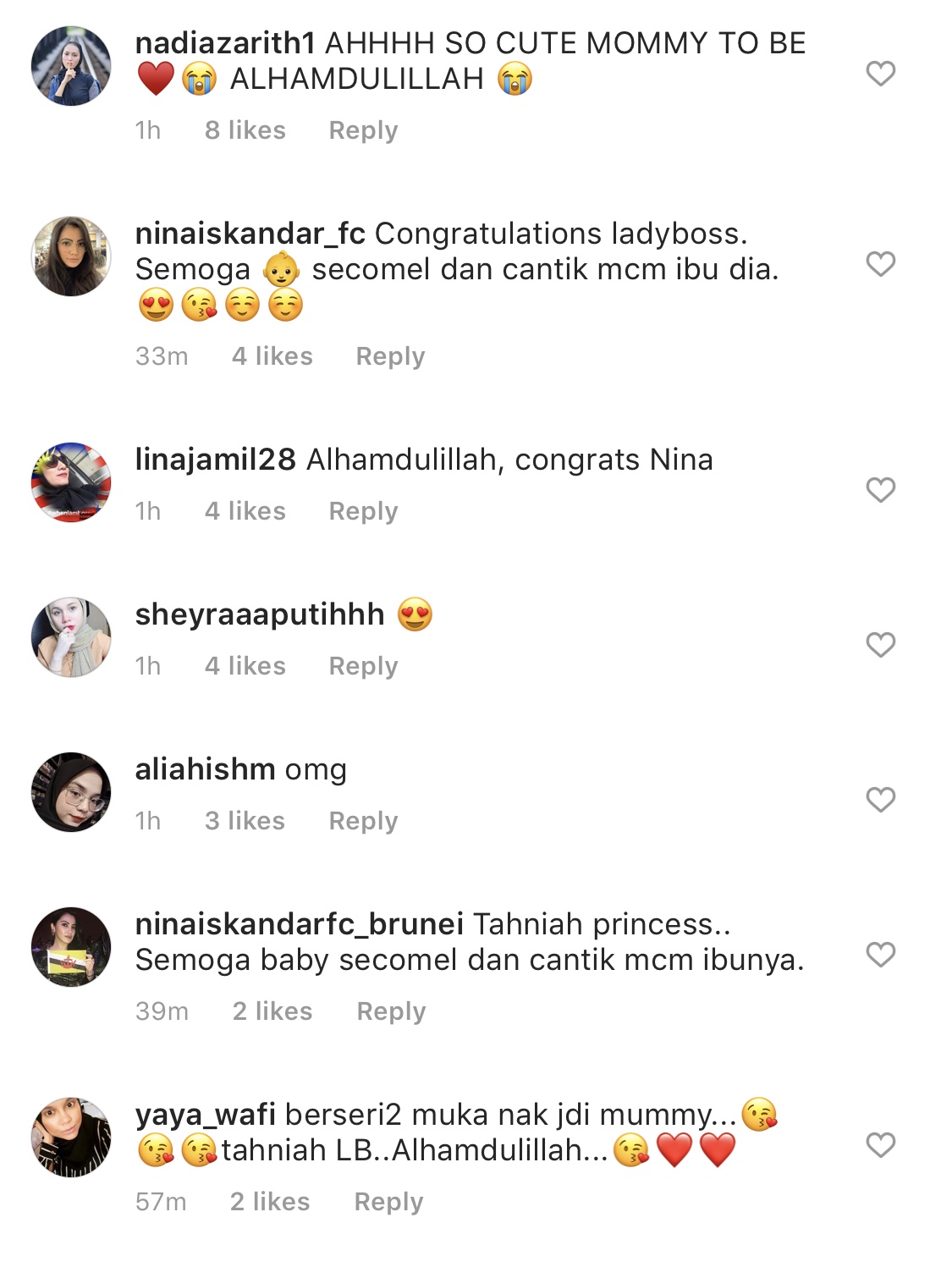 Nina Iskandar Kini Hamil, Tahniah!