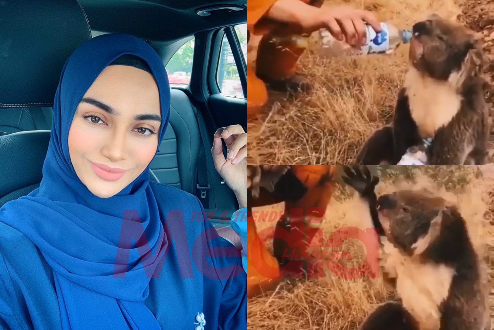 Kilafairy Kongsi Video Koala Kehausan Dalam Tragedi Kebakaran Di Hutan Australia, Runtun Hati