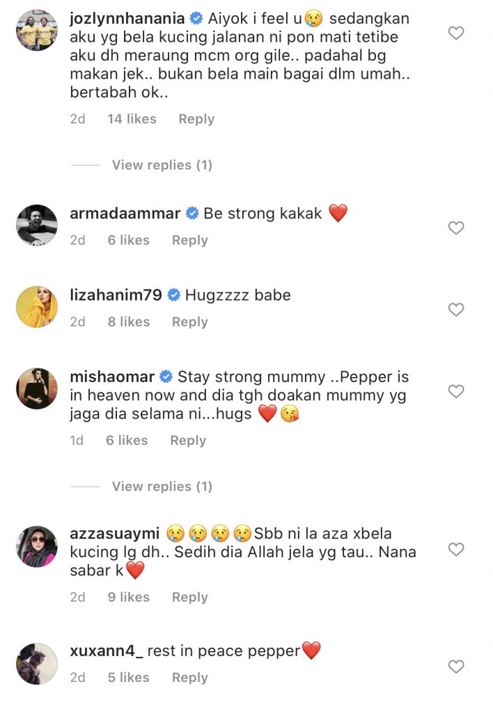 “Mummy Sedih Tapi…,” &#8211; Kucing Peliharaan Nana Mahazan Mati