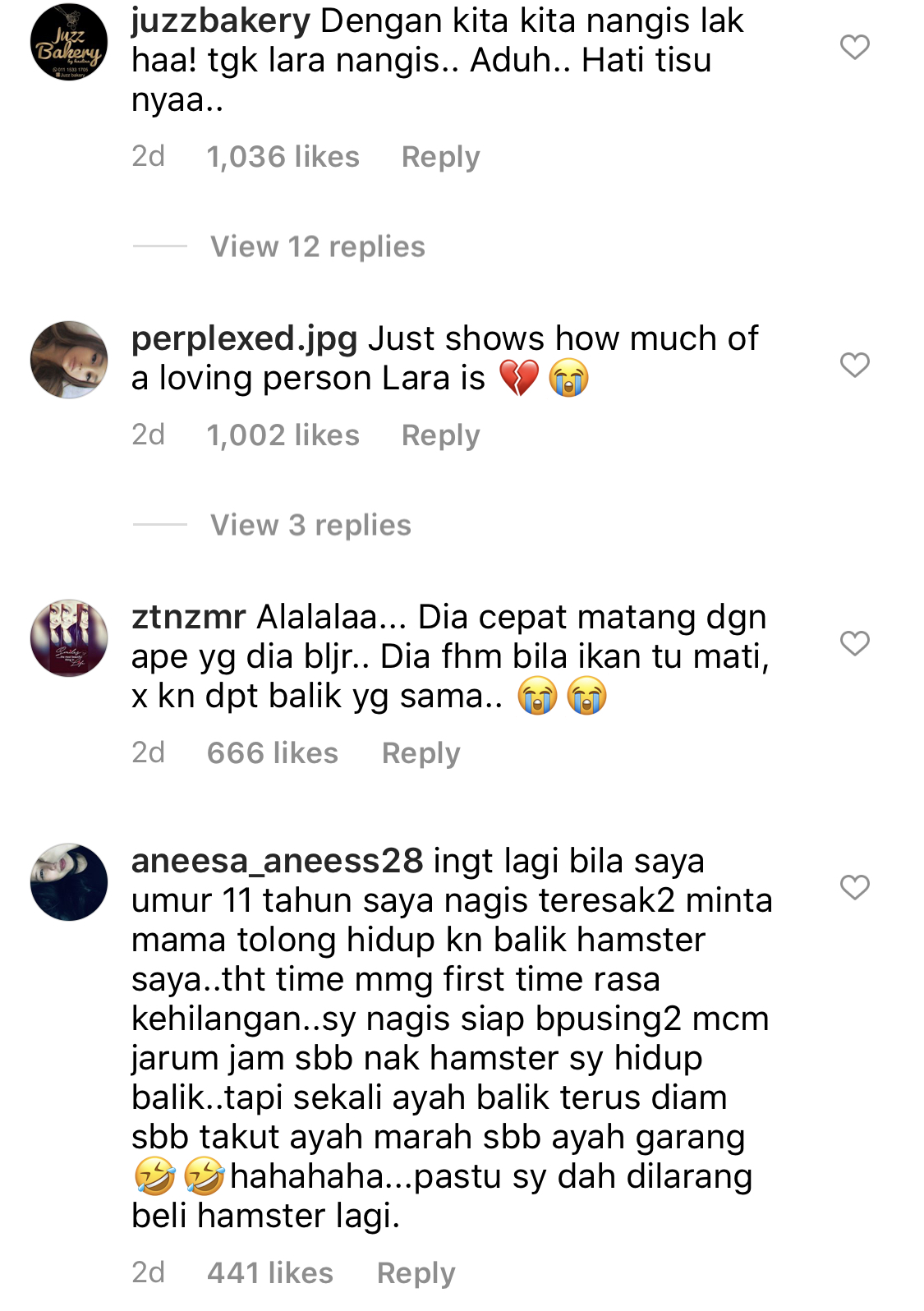 “Dengan Kita Sekali Nangis,”- Ikan Laga Peliharaan Mati, Tangisan Lara Alana Buat Ramai Tersentuh, Pertama Kali Kehilangan