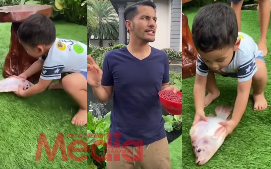 “Dah Mati Dalam 4 Ke 5 Ekor Sebab…,” – Aliff Syukri Tunjuk Hasil Bela Ikan Talapia Dan Arapaima, Ramai Netizen Kongsi Menu Resepi